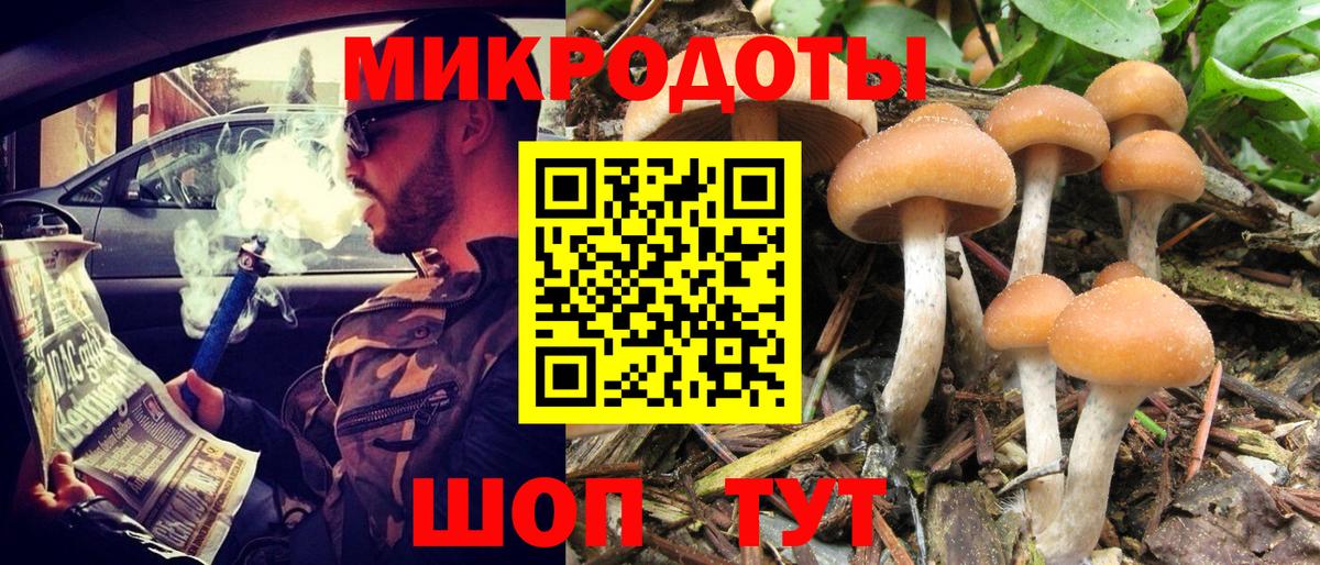 Галлюциногенные грибы Psilocybine cubensis Алапаевск