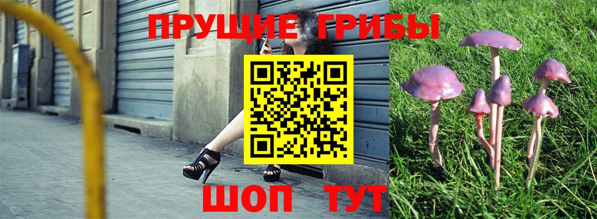 цена наркотик  Вход с VPN  Алапаевск  Псилоцибиновые грибы ЛСД  Галлюциногенные грибы мухоморы 